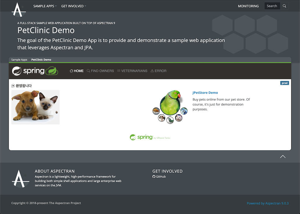 PetClinic Demo